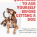 23 Questions You Need to Ask Yourself Before Getting a Dog