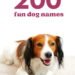 200 Fun Dog Names