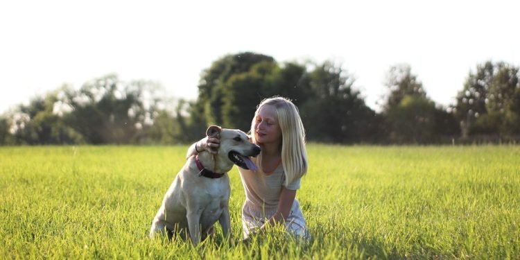 Unleashing the Secrets: Solving Common Dog Behavior Problems with Proven Solutions