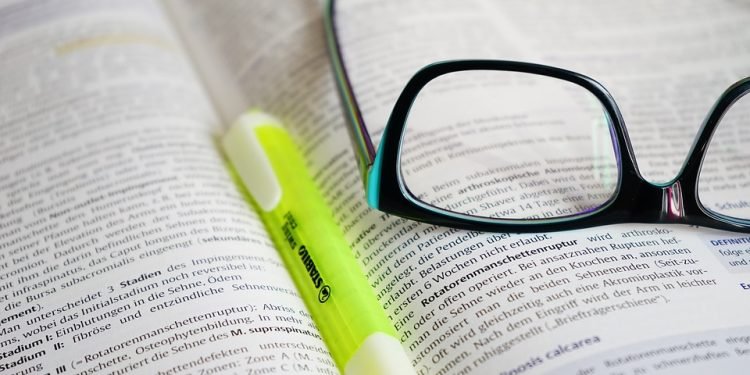 Pawsitive Results: Affordable Dog Training Solutions for Every Budget