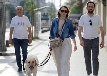 Free to Roam: The Benefits of a Hands-Free Dog Leash