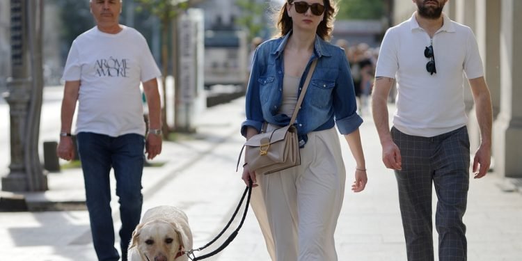 Free to Roam: The Benefits of a Hands-Free Dog Leash