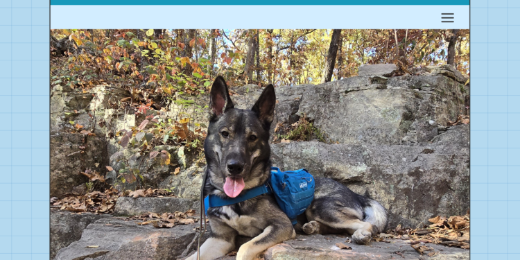 Dogster Photo Contest: Dogs of the Week Winners (December 19, 2024)