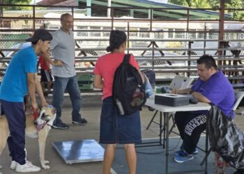 292 Neutering and Spay Successes in One Day: Dogster’s Dr. Paola Volunteers in Panama