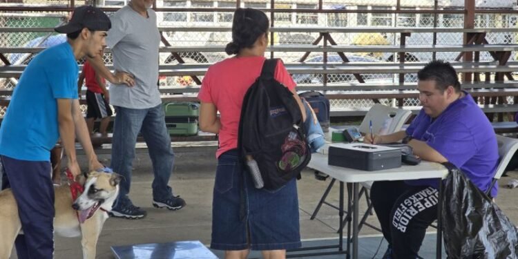 292 Neutering and Spay Successes in One Day: Dogster’s Dr. Paola Volunteers in Panama