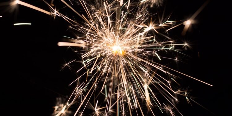 New Year’s Eve Party Planning for Pet Owners: Including Your Dog in the Festivities