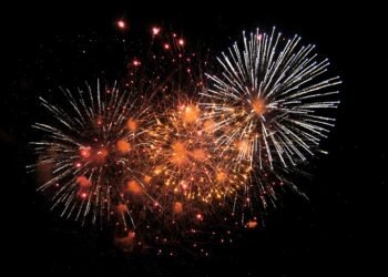 Celebrate the New Year with Your Canine Companion: Fun Ideas for a Dog-Friendly New Year’s Eve