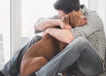 Ultimate 15 Dog Breeds That Will Never Let You Feel Alone