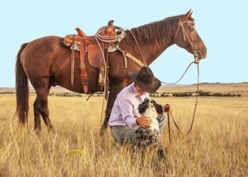 Master Your Mutt: Unleash Your Dog’s Potential through Top-rated Training Classes Near You