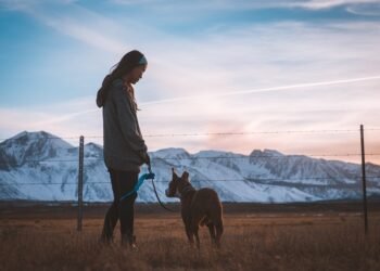 Unleash the Freedom: The Benefits of Retractable Leashes
