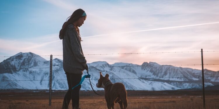 Unleash the Freedom: The Benefits of Retractable Leashes