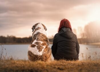 Top 10 Best Medium-Sized Dogs for Apartment Living