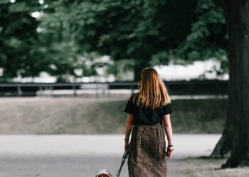 Unleashing the Power of Pack Leadership: Understanding and Mastering Dog Leading Dog Dynamics