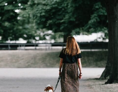 Unleashing the Power of Pack Leadership: Understanding and Mastering Dog Leading Dog Dynamics