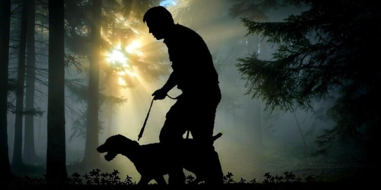 Unleash the Adventure: The Ultimate Guide to Dog Bike Leashes