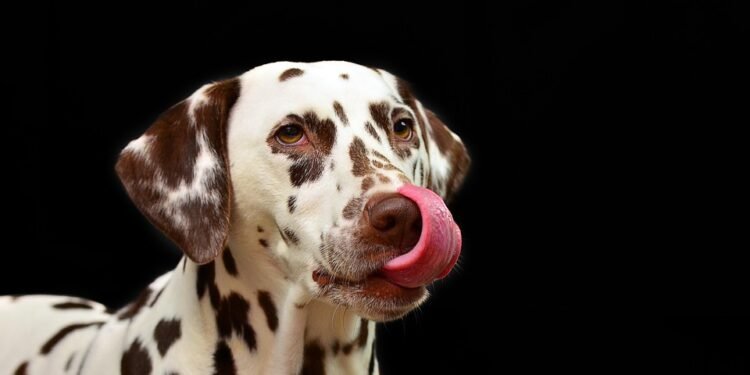 Guardians of the Home: Top Dog Breeds for Family Protection