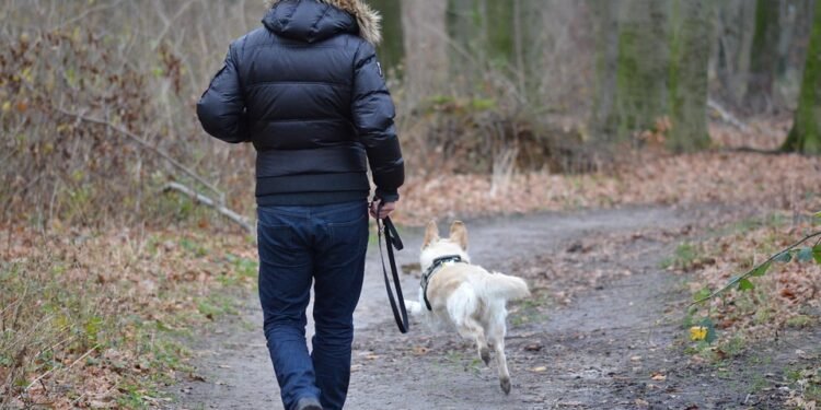 Unleash the Fun: The Ultimate Guide to Choosing the Perfect Dog Leash