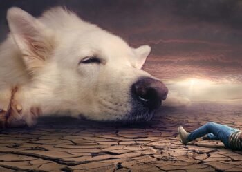 Top 10 Medium-sized Breeds: The Best Apartment Dogs for Your Home