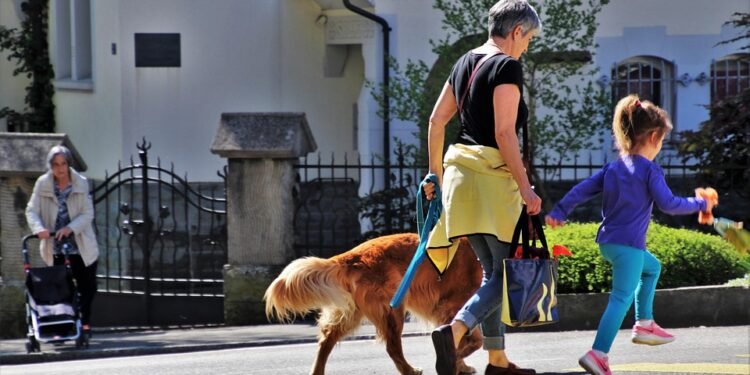 Pawsitively Stylish: The Ultimate Guide to Dressing Your Pet in Fashionable Outfits