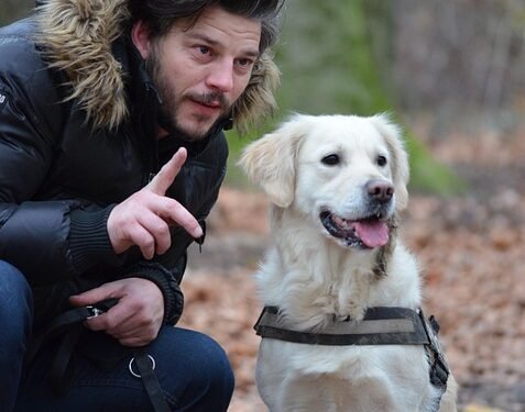 The Freedom to Roam: Unleashing the Benefits of Retractable Leashes