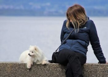 The Ultimate Guide to Finding the Perfect Coat for Your Pup