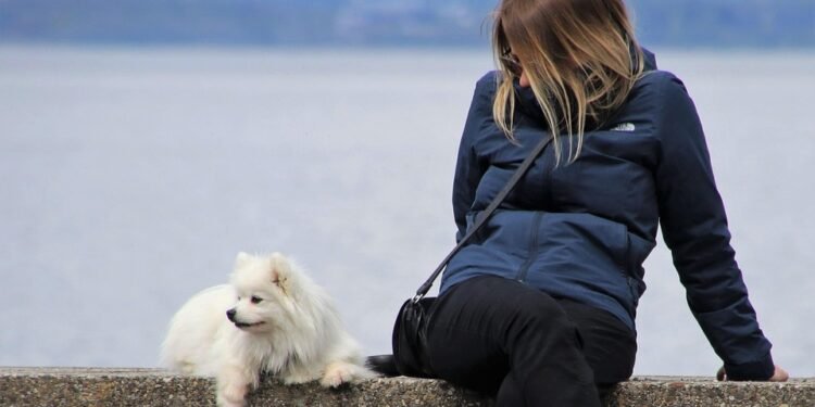 The Ultimate Guide to Finding the Perfect Coat for Your Pup