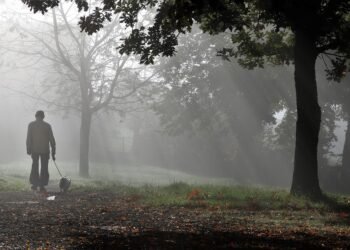 The Ultimate Heavy Duty Leash: Unleash Your Dog’s Potential