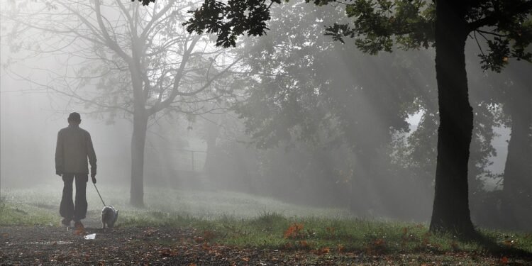 The Ultimate Heavy Duty Leash: Unleash Your Dog’s Potential