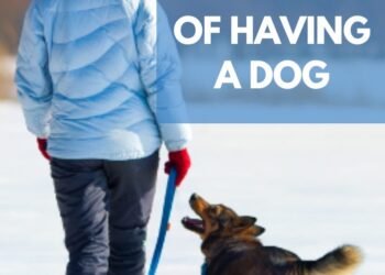 10 Health Benefits of Having a Dog