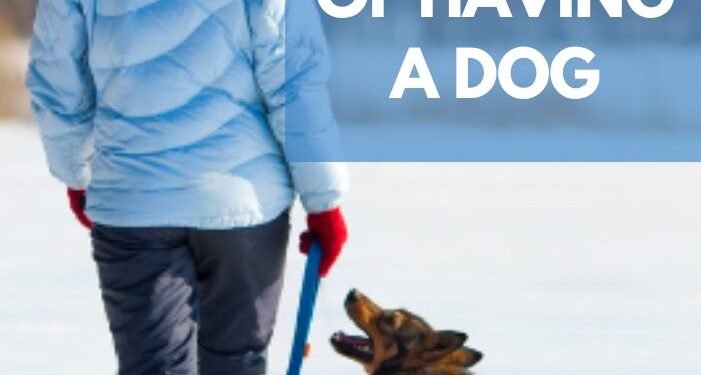 10 Health Benefits of Having a Dog