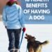 10 Health Benefits of Having a Dog