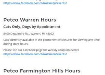 5 Places to Adopt a Dog in Oakland County, Michigan