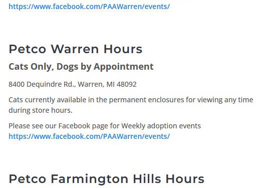 5 Places to Adopt a Dog in Oakland County, Michigan