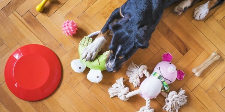 Fetch Frenzy: The Best Dog Ball Toys for Hours of Playtime!