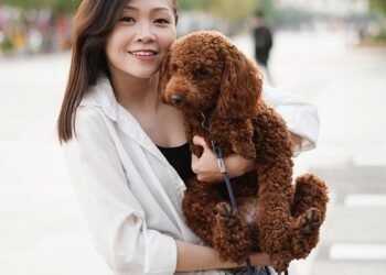 Top 10 Low-Maintenance Apartment Dogs: Perfect Companions for Busy Lifestyles