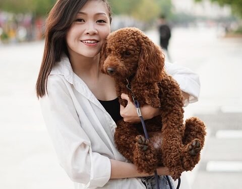 Top 10 Low-Maintenance Apartment Dogs: Perfect Companions for Busy Lifestyles