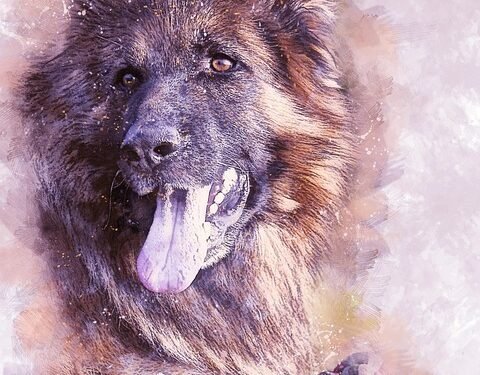 The Ultimate Interactive Dog Toy: Ball In a Ball for Hours of Fun and Entertainment!