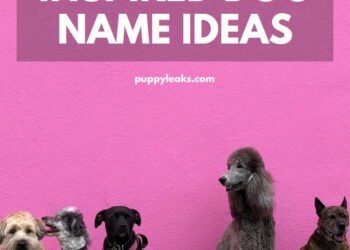 300 Food Inspired Dog Names