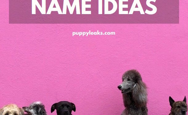 300 Food Inspired Dog Names