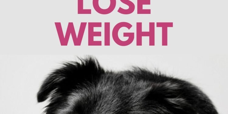 5 Ways to Help Your Dog Lose Weight