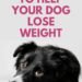 5 Ways to Help Your Dog Lose Weight