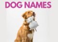 500 History Inspired Dog Names