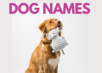 500 History Inspired Dog Names