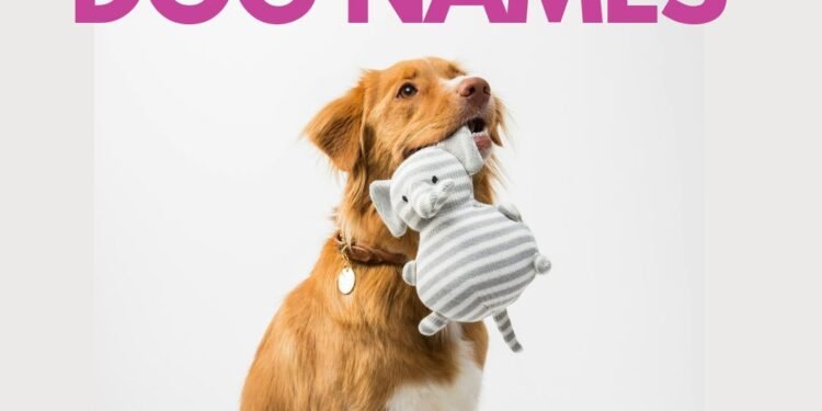 500 History Inspired Dog Names