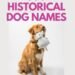 500 History Inspired Dog Names
