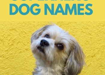 300 Superhero Inspired Dog Names