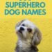 300 Superhero Inspired Dog Names
