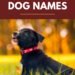 500 African Dog Names