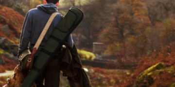 500 Country Inspired Dog Names