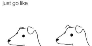 Why Do Dogs Give The Side Eye